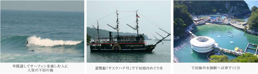 伊豆下田の海・サスケハナ号・下田海中水族館