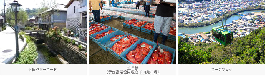 下田ペリーロード・碁石が浜・白浜海岸